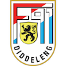 F91 Dudelange