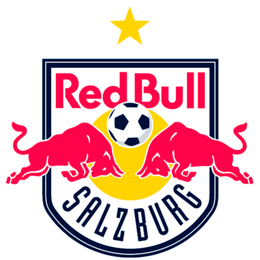 SV Salzburg artwork 1