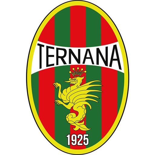 Ternana artwork 1