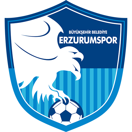 Erzurumspor artwork 1