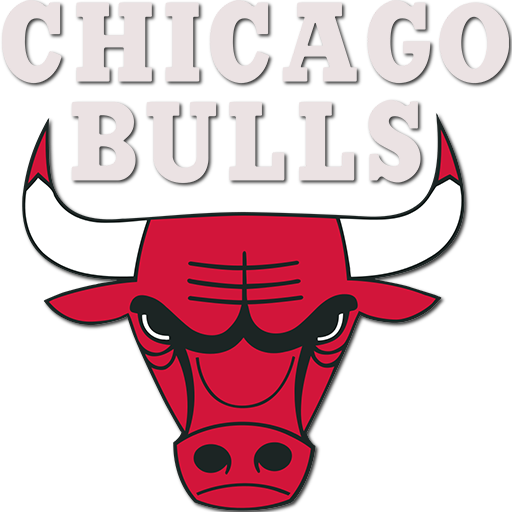 Chicago Bulls badge