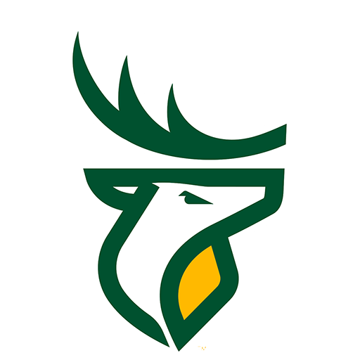 Edmonton Elks artwork 1