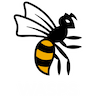 Wasps
