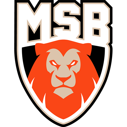 Le Mans Sarthe Basket artwork 1