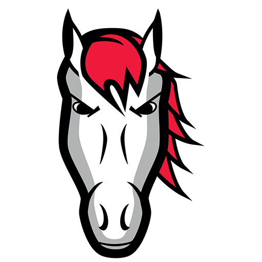 Leicester Riders badge