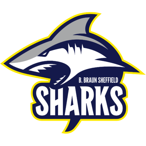 Sheffield Sharks artwork 1