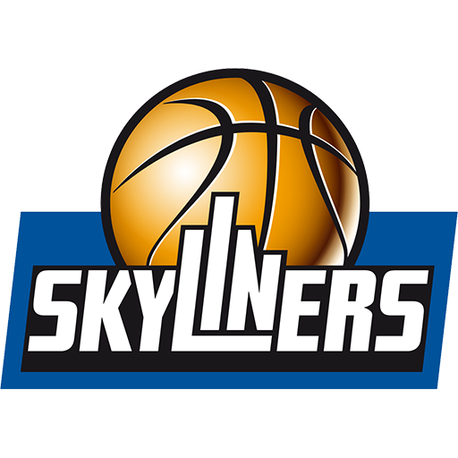 Frankfurt Skyliners artwork 1