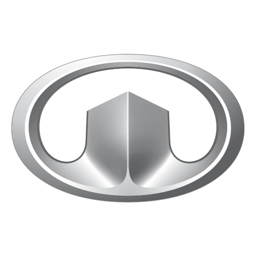 Team Great Wall artwork 1