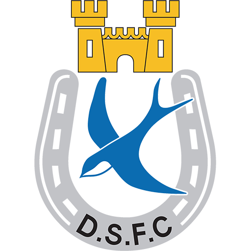 Dungannon Swifts artwork 1
