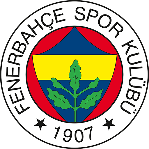 Fenerbahçe Basketbol artwork 1