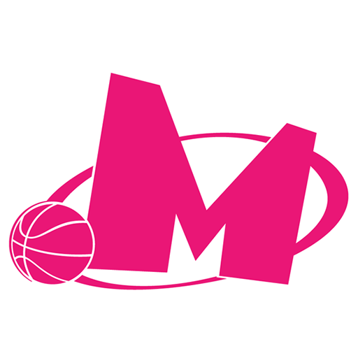 KK Mega Basket artwork 1