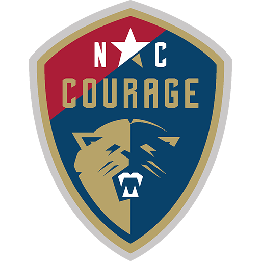 North Carolina Courage artwork 1