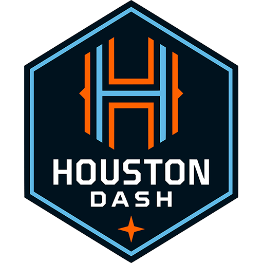 Houston Dash artwork 1