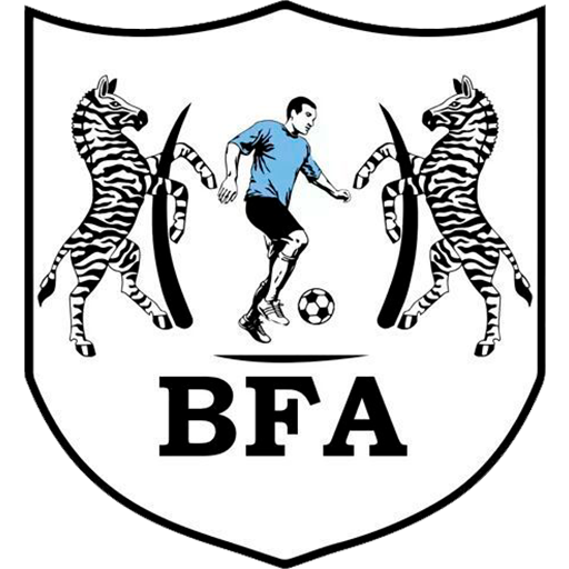 Botswana badge