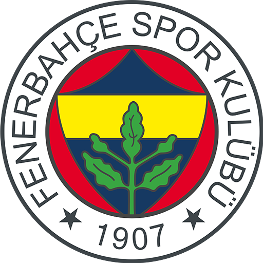 Fenerbahçe Volleyball artwork 1