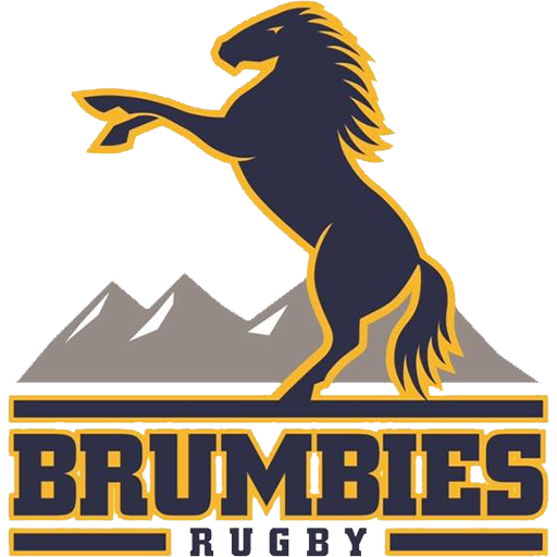 Brumbies artwork 1