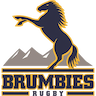 Brumbies