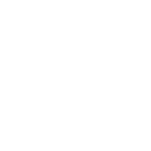 Stormers badge