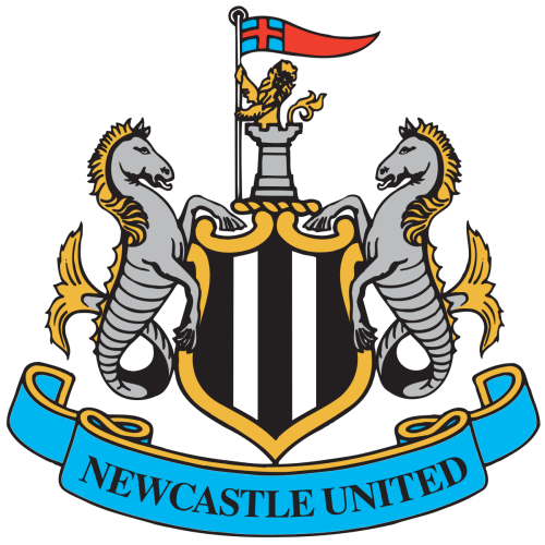 Newcastle United U21 artwork 1