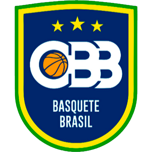 Brazil Basketball artwork 1