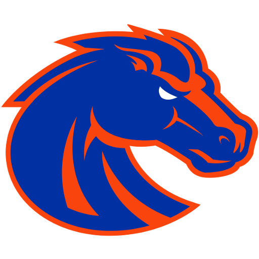 Boise State artwork 1