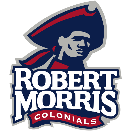 Robert Morris artwork 1