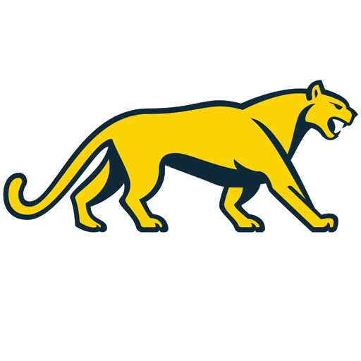 Argentina Rugby artwork 1