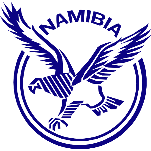 Namibia Rugby badge