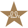 Pakistan Cricket