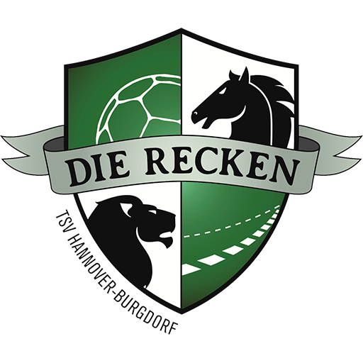 TSV Hannover-Burgdorf artwork 1