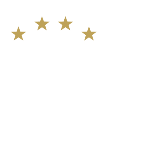 THW Kiel badge
