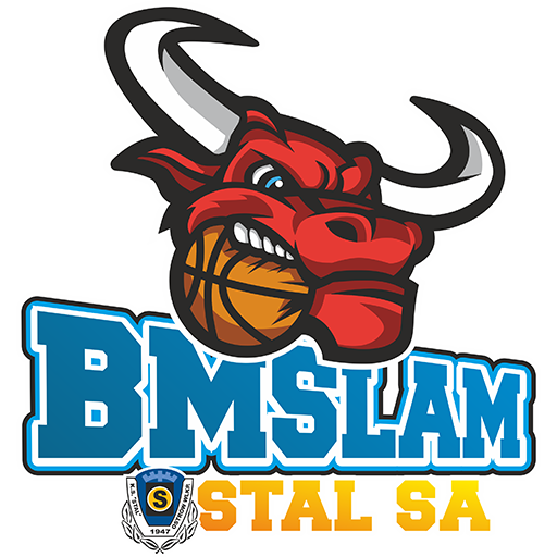 Stal Ostrów Wielkopolski artwork 1