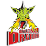 Artland Dragons