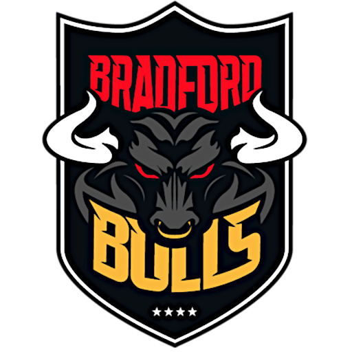 Bradford Bulls badge
