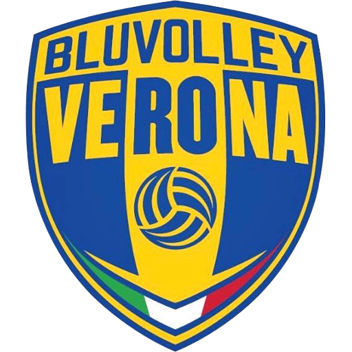 BluVolley Verona artwork 1