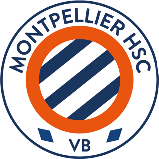 Montpellier Volley artwork 1