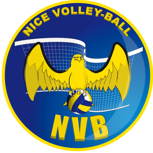 Nice Volley-Ball artwork 1