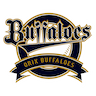 Orix Buffaloes