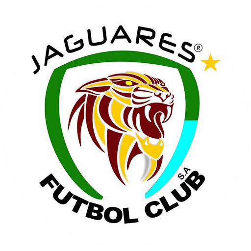 Jaguares de Córdoba artwork 1