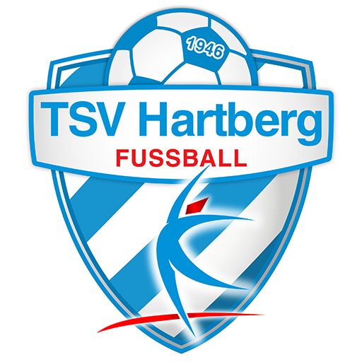 TSV Hartberg artwork 1
