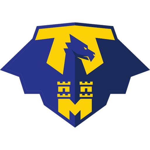 MFK Zemplín Michalovce artwork 1