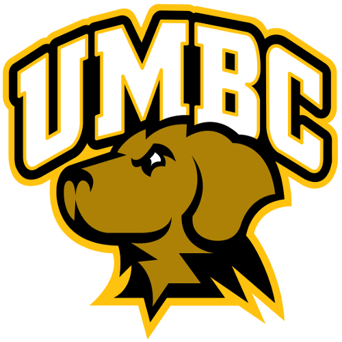 UMBC artwork 1