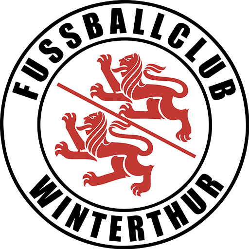 FC Winterthur artwork 1