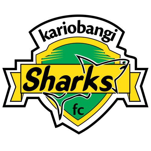Kariobangi Sharks artwork 1