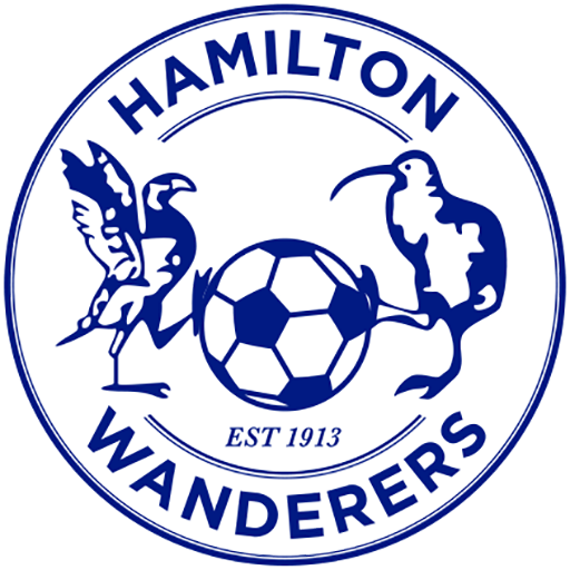 Hamilton Wanderers artwork 1