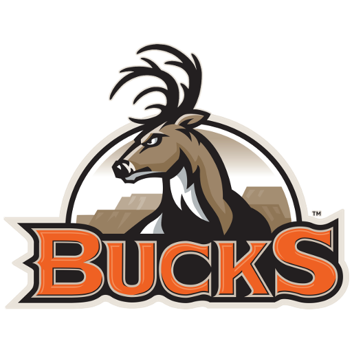 Bismarck Bucks artwork 1
