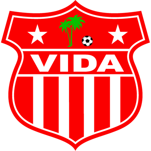 Vida artwork 1