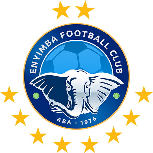 Enyimba badge