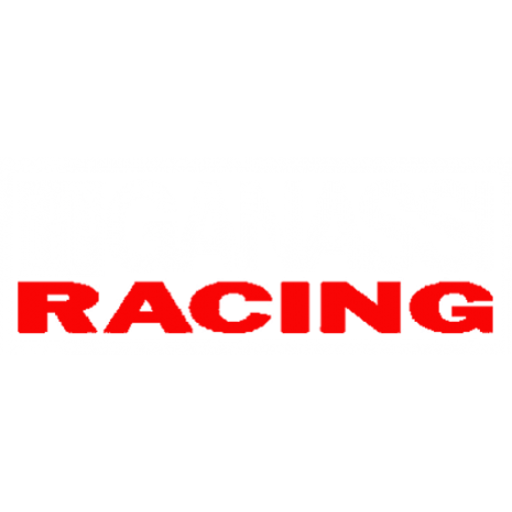 Chip Ganassi Racing Extreme E artwork 1