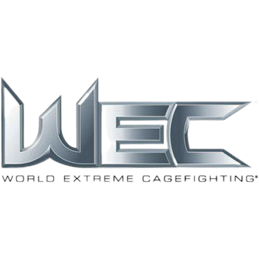 WEC artwork 1